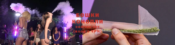ПСИЛОЦИБИНОВЫЕ ГРИБЫ Краснослободск