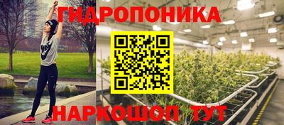 гидра Волгодонск