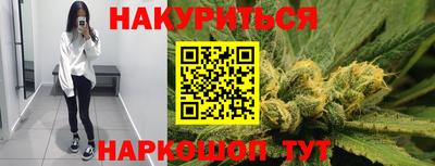 гидра Волгодонск